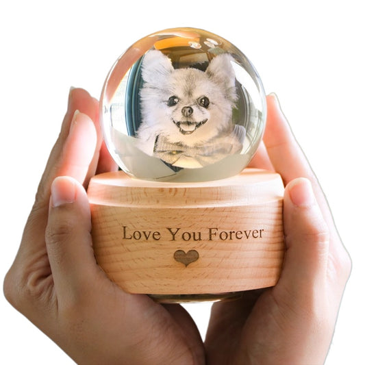 Customized Pet Crystal Ball + Memorial Dog Photo + Music Player + Exclusive 3D Engraving + Heartfelt Gift